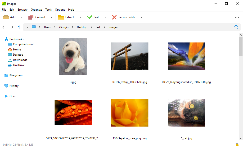 Integrate image viewer